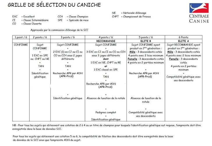 GRILLE-COTATIONS-CANICHE-2023