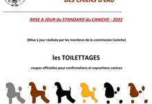 1erepage