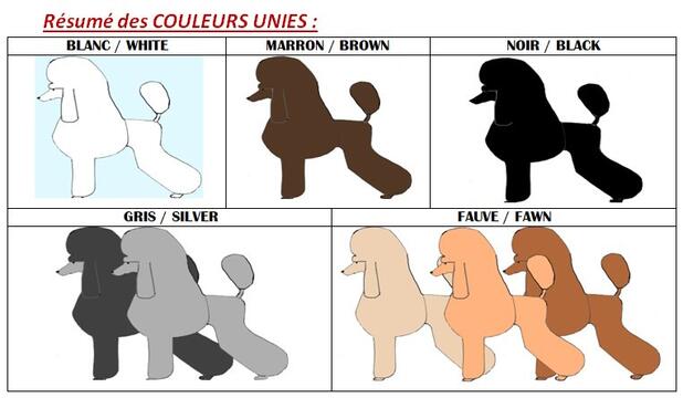 1_couleursUNIES.