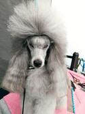 TOPAZE_cotation4