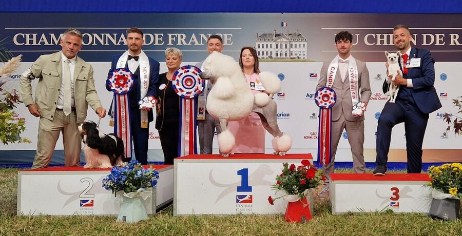 UPTOWN GIRL UMA_BOG CHAMPIONNAT 2025