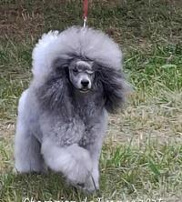 VALERIAN GREY_Champion